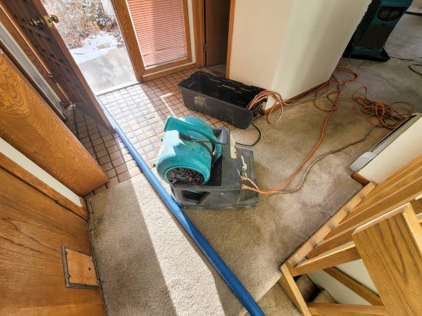 Best Commercial water damage restoration  in Dayton, KY
