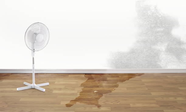 Best Water damage restoration near me  in Dayton, KY