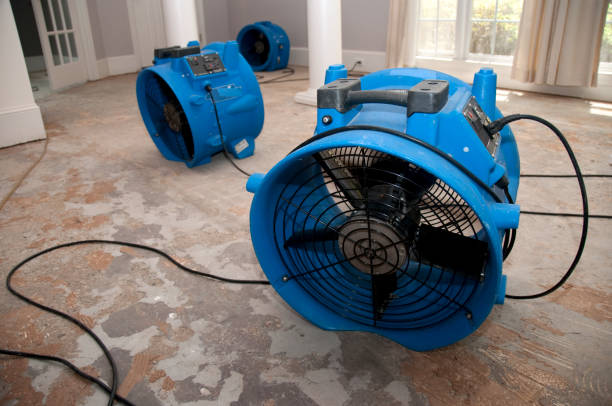 Best Emergency water damage restoration  in Dayton, KY