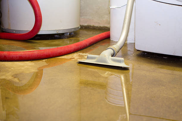 Best Basement water damage restoration  in Dayton, KY