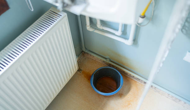 Best Water damage cleanup near me  in Dayton, KY