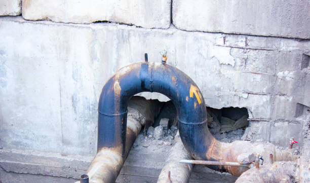 Best Flood damage cleanup  in Dayton, KY