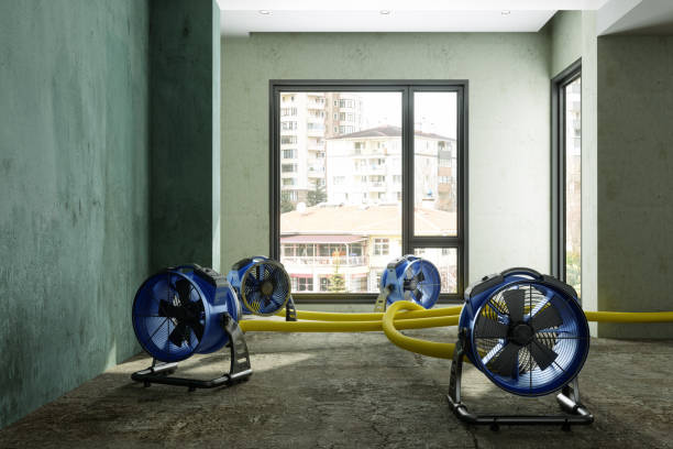 Best Flood restoration services  in Dayton, KY